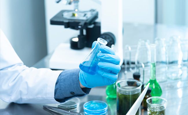 NAP • 图像和文字